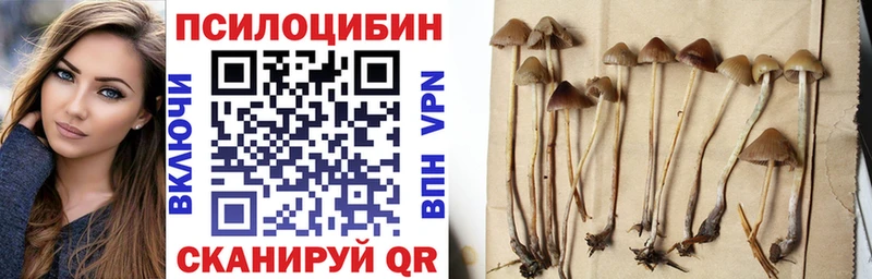купить наркотик  Староминская  Галлюциногенные грибы ЛСД 